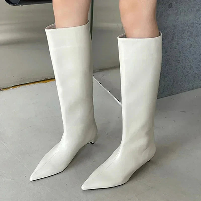 Pointed Toe Women High Boots Leather Fashion Sexy Heels GlowCart
