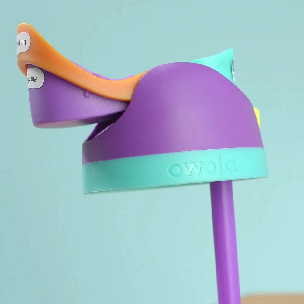 Owala Insulated Stainless Steel Water Bottle with Straw, GlowCart